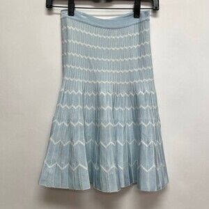 Egrey Women's A-Line Skirt Size Petite Blue White